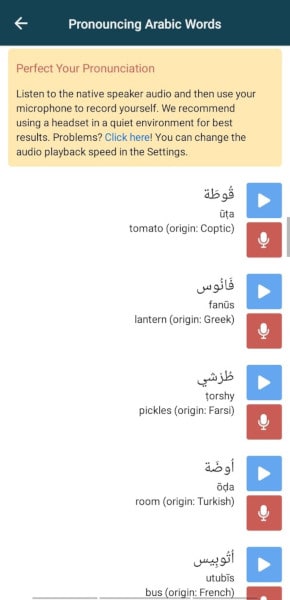 Rocket Arabic Review: speaking Arabic