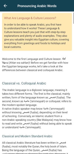 Rocket Arabic Review: culture lessons