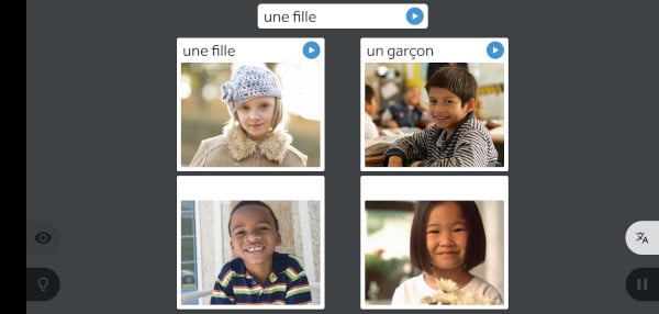 Rosetta Stone review: Images and sentence assocition